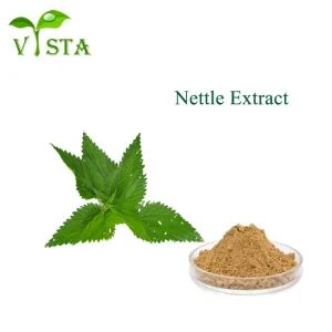 1% Silica Nettle Leaf Powder Nettle Leaf Extract for Natural Healthcare Herb Extract