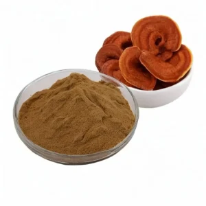 10: 1 Reishi Mushroom Extract Powder (Ganoderma lucidum)