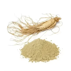 10% 80% Ginsenosides Panaxoside Ingredient Ginseng Root Extract Powder Chinese 10:1 20:1 Panax Ginseng Extract Powder