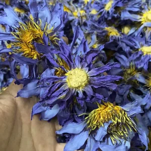 100% EU Food Grade Dried Blue Lotus Flowers Handmade Egyptian Herb Organic Nymphaea Caerulea Tincture Tea