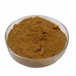 100% Natural Chaga Mushroom Powder Mushroom Extract Powder for Use in Food and Beverages and Nutraceuticals