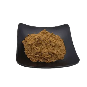 100% Natural Chinese Taxillus Root Powder 10:1 Sang Ji Sheng Extract Vacuum Packed Drum Food for Healthcare Supplements