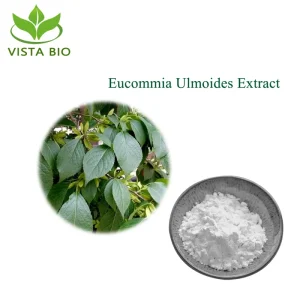 100% Natural Food Additive Chlorogenic Acid 10%-98% Eucommia Extract Eucommia Ulmoides Leaf Extract
