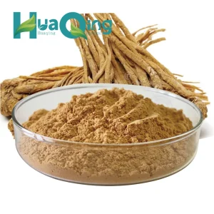 100% Natural Food Grade Dong Quai Herbal Extract Powder 10:1 Radix Angelica Sinensis Root Chinese Traditional Herbal Supplement