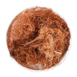 100% Natural Herbs Chinese Herbal Medicine Corn Stigma Dried Corn Silk