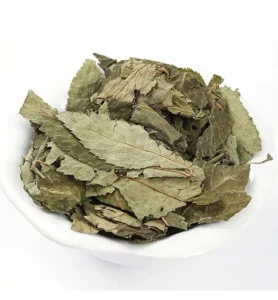 100% Natural Herbs Woman Health Tea Dried Raspberry Leaf Tea