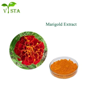 100% Natural Kosher Certified 5-80% Lutein 5-50% Zeaxanthin Powder Marigold Extract