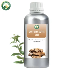 100% Pure Atractylodes Oil (Atractylodes Lancea) Root Extract for Skin Body Care Massage Aromatherapy Bulk OEM Supply