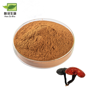 100% Pure Factory Supply Ganoderma Lucidum Extract