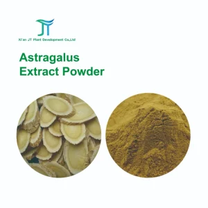 100% Pure Natural Organic Astragalus Root Extract 1% Astragaloside Powder CAS 78574 94 4