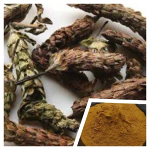 100% Pure Natural Prunella Vulgaris Extract