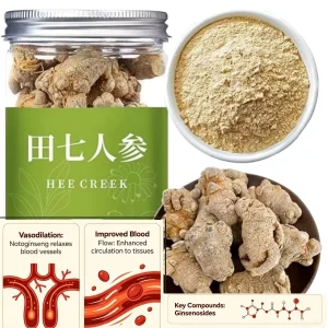 100% Superfine Pure Natural Weight Loss Products Yunnan Wenshan Sanqi Biohacking Tienchi Ginseng Chinese Notoginseng Extract
