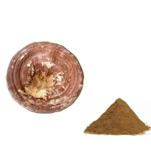 100% Water Soluble Ganoderma Reishi Extract Powder 30% Polysaccharides