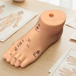 13cm Soft PVC Foot Acupuncture Point Model Chinese Character Marked Reflexology Zone Anatomy Model for TCM Massage Teaching
