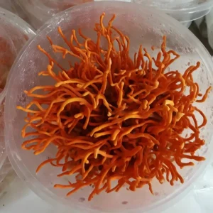 1kg Natural Raw Caterpillar Fungus, Cordyceps Militaris, Dried Cordyceps Flowers, Cordyceps Sinensis, for Making Soup