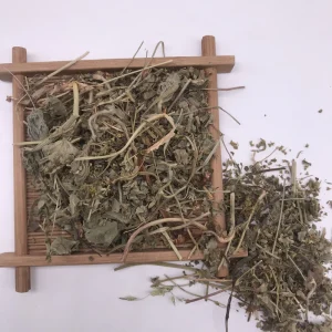 3119 Dou Peng Cao Artemisia Vulgaris Mugwort Dry Leaves Magwort Leaf Dried Raw Herbs
