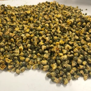 4017 Tai Ju Supply Natural Health Products Embryo Chrysanthemum for Tea