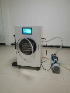 4kg-6kg Batch PLC Pump Automatic Freeze Drying Machine for Home Use Food Processing Vacuum Lyophilizer SUS304