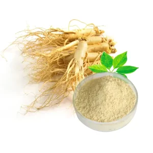 80% Panax Ginseng Korean Red Ginseng Root Extract Powder