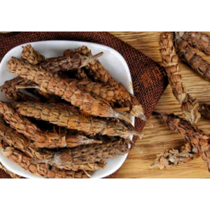 Acanthopanax Senticosus Extract 0.8% Eleutherosides Siberian Ginseng Extract