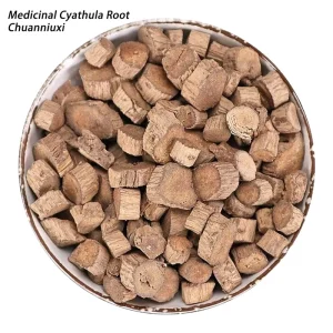 Achyranthes Bidentata Root Natural Dried Herbal Slice Traditional Chinese Niu Xi TCM Raw Herbal for Health Supplement