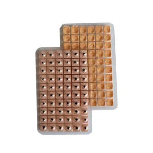 Acupuncture Vaccaria Body Ear Seeds 600 Counts Disposable Plastic Ear Press Seeds Multi Condition Ear Seed Acupressure Kit