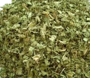 Ai Hao 100% Natural Bulk Wormwood Leaf Stick and Herb for Flavor Tea