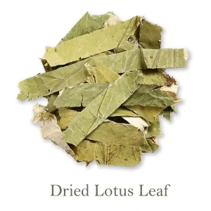 Air Dried Lotus Leaf for Herbal Tea and Natural Food Steaming Culinary Ingredient