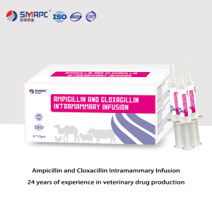 Ampicillin and Cloxacillin Intramammary Infusion Veterinary Medicine