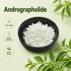 Andrographis Paniculata Extract 10% 20% 98% Andrographolide Food Grade Andrographis Leaf Extract for Supplements & Capsules