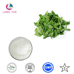 Andrographis Paniculata Extract CAS 5508-58-7