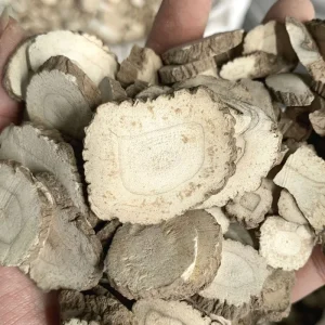 Angelica Dahurica Bai Zhi Sulfur Free Dried Slices 1kg Bulk Export Grade 24 Months Shelf Life Bozhou Origin Chinese Herbal TCM