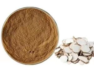 Angelica Extract Powder with 4:1 10:1