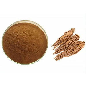 Angelica Extract Powder with 4:1 10:1 Plant Extract Powder