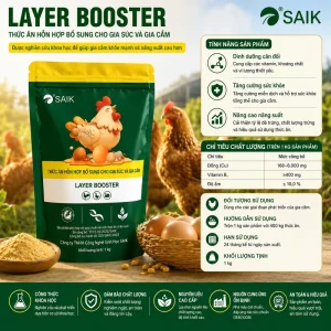 Animal Feed Grade Vitamins & Amino Acids Enzyme Chicken Layer Booster Nutraceutical Additives Premix From Henan