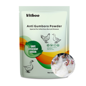 Anti Gumboro Powder Poultry Bursa Fabricius Chicken Bursitis Medicine Herbs