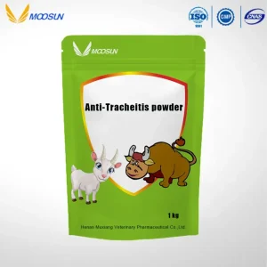Anti-Tracheitis Powder Veterinary Medicine for Cattle and Sheep