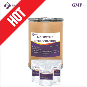 Antibiotic Drugs Medicine Chicken 99% Purity Lincomycin Hydrochloride Veterinary Products API Raw Material for Poultry and Livestock