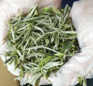 Antioxidant Herbal Tea Organic Tea White Peony White Tea