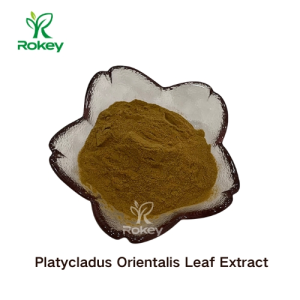 Antioxidant & Skin Soothing Botanical Powder Platycladus Orientalis Leaf Extract