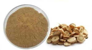 Astragalus Extract Powder with Polysaccharides