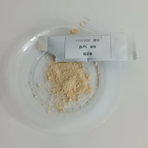 Astragalus Powder for Health Foods and Dietary Supplements Expertly Extracted Freeze Dried