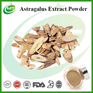 Astragalus Root Extract Traditional Chinese Herbal Medicine Astragalus Powder