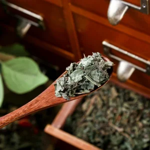 Authentic Chinese Herbal Medicine Jiao Gu LAN Gynostemma Pentaphyllum for Blended Tea