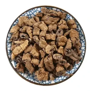Ba Ji Tian Morinda officinalis Root Chinese Herbal Plants Root Dry Morinda officinalis How High Quality Chinese Herbs Fertility
