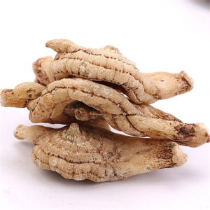 Bai Ji Natural Pure Herbal Medicine Dried Bletilla Striata Bletillae Rhizoma for Slae