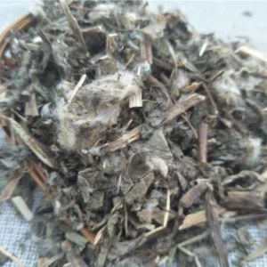 Bai Jiang Cao Patrinia Herba Patriniae Crude Herbal Medicine