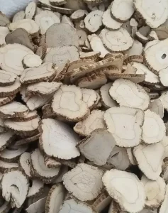 Bai Zhi Root of Angelica Dahurica Chinese Herbs White Peony Root Herbal Plants Sliced Roots Diet Spices