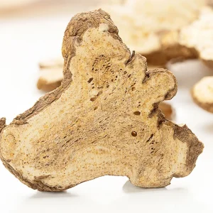 Bai Zhu Chinese Herbal Medicine Atractmlodis Macrocephalae Rhizoma for Promote Diuresis