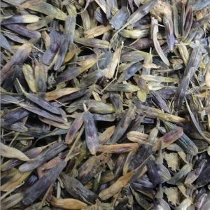 Ban LAN Gen Seeds Factory Supply High Quality Pure Natural Herbal Medicine Radix Isatidis Seeds for Health Tea